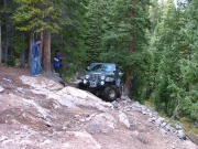 steve_up_tippy_tree_part_1