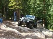 steve_up_tippy_tree_part_3