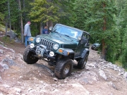 steve_up_tippy_tree_part_5
