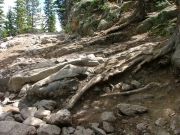 tippy_tree_part_1