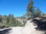 blind_corner