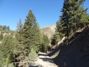 narrow_section
