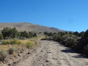 rocky_spur