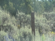 spur_marker