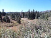 trail_below