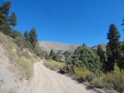 uphill_again