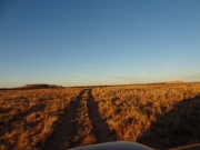 desert_at_dusk