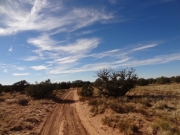 easy_trail