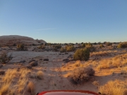 late_day_shadows