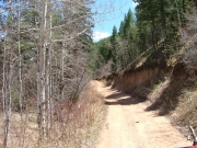 aspens_part_1