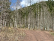 aspens_part_2