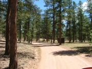 early_trail