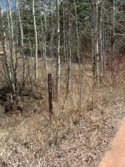 forest_service_sign