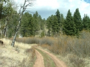 meadow