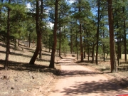 mellow_trail