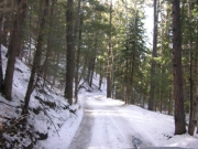 early_trail