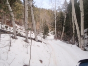 snow_and_aspens