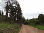 early_trail