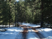 snowy_trail