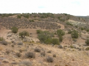 curvy_trail