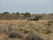 jeffrey_on_the_trail
