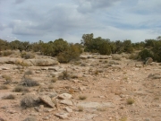 little-used_trail