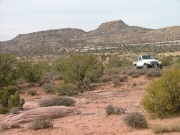 roger_on_the_trail