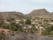 saddle_we_just_went_through