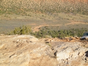 comb_ridge_trail