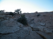 faint_trail