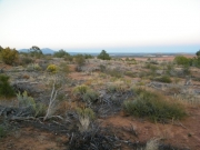 view_at_the_end
