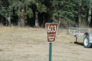 forest_service_sign