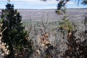 tabeguache_ridge