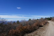 trail_with_a_view