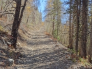 climb_up_the_quick_exit