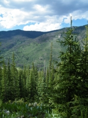 big_view