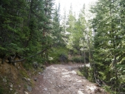 little_rocks