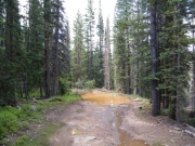 mud_puddle