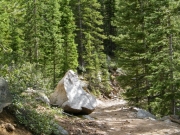 rock_in_the_trail