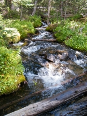 stream_crossing