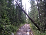 trail_fixes