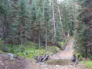 water_crossing
