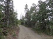 curved_climb