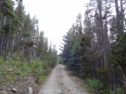early_trail