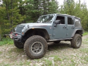 holly_on_the_trail