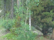trailhead_sign