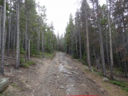 water_on_the_trail