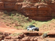 wayne_on_the_trail