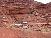 roger_on_the_trail