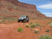 dane_on_the_trail